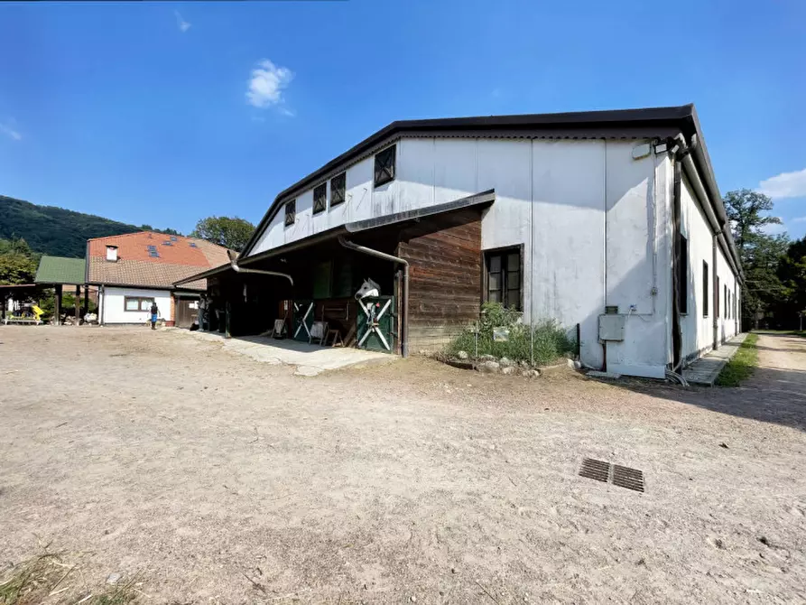 Immagine 25 di Casa quadrifamiliare in vendita  in regione monte oro 7 a Ameno