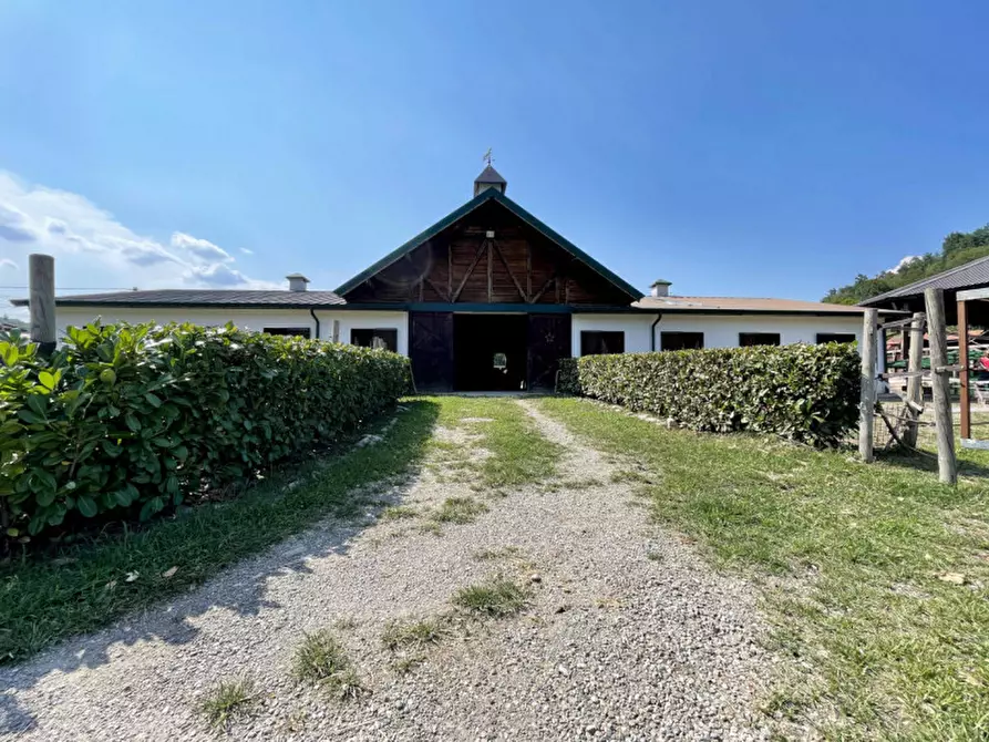 Immagine 27 di Casa quadrifamiliare in vendita  in regione monte oro 7 a Ameno