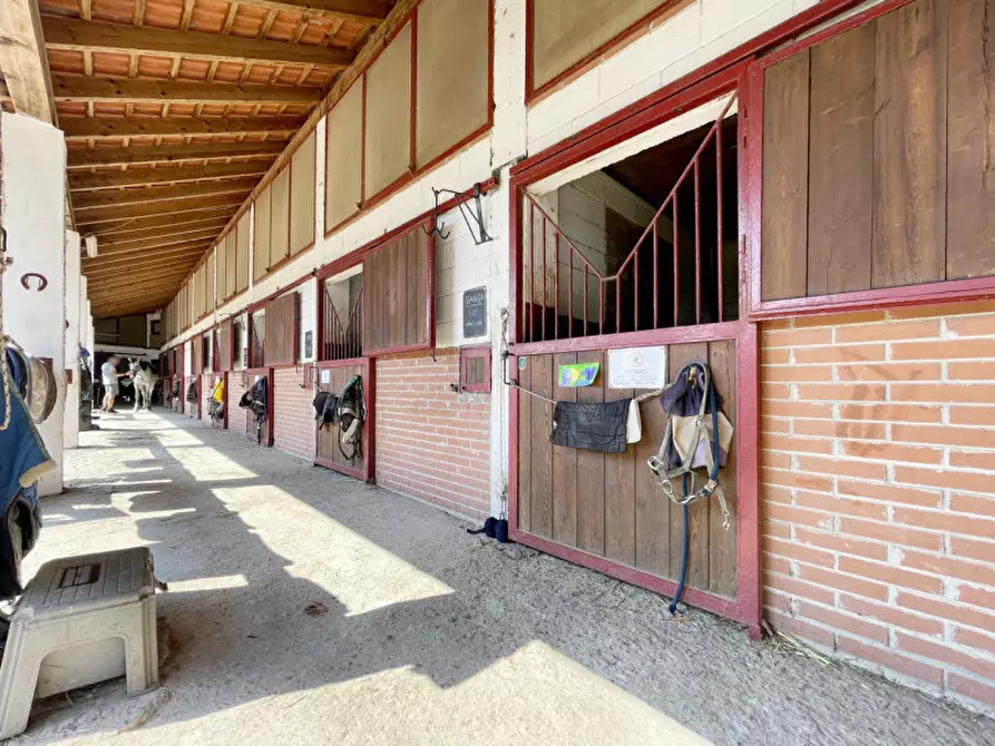 Immagine 28 di Casa quadrifamiliare in vendita  in regione monte oro 7 a Ameno