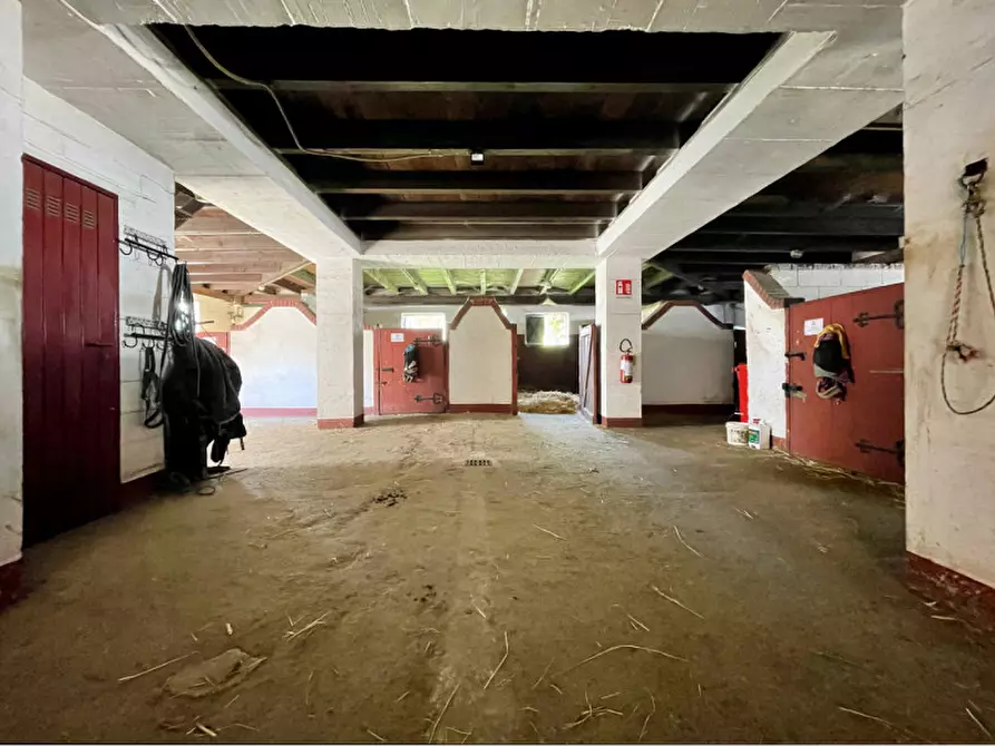 Immagine 29 di Casa quadrifamiliare in vendita  in regione monte oro 7 a Ameno