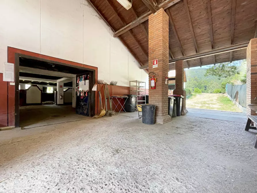 Immagine 31 di Casa quadrifamiliare in vendita  in regione monte oro 7 a Ameno