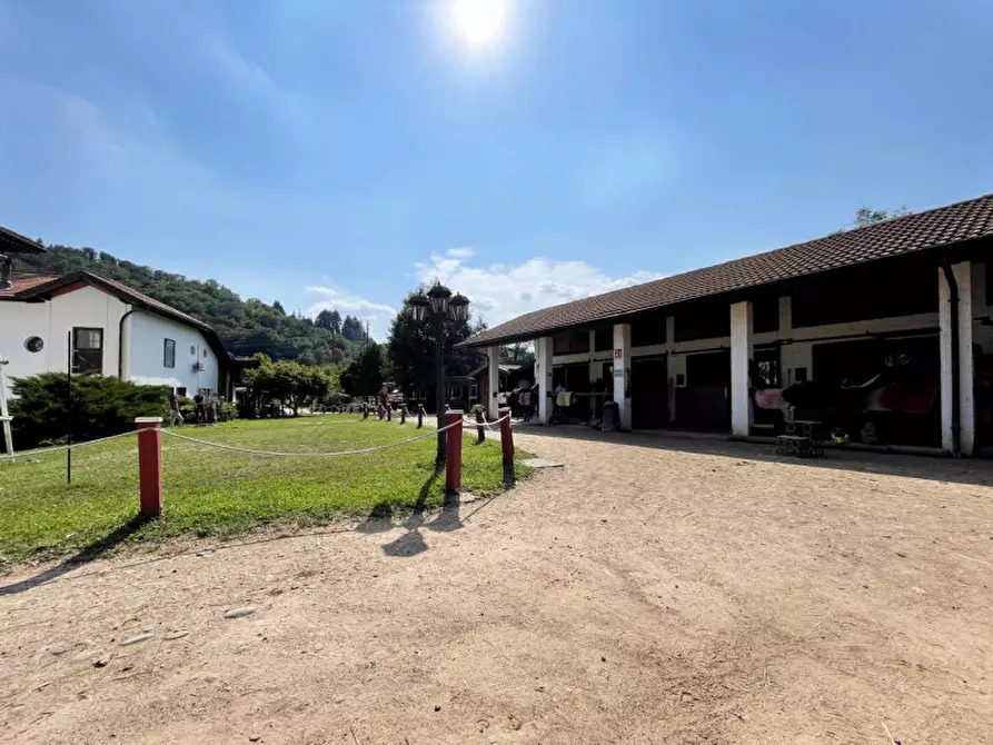 Immagine 34 di Casa quadrifamiliare in vendita  in regione monte oro 7 a Ameno