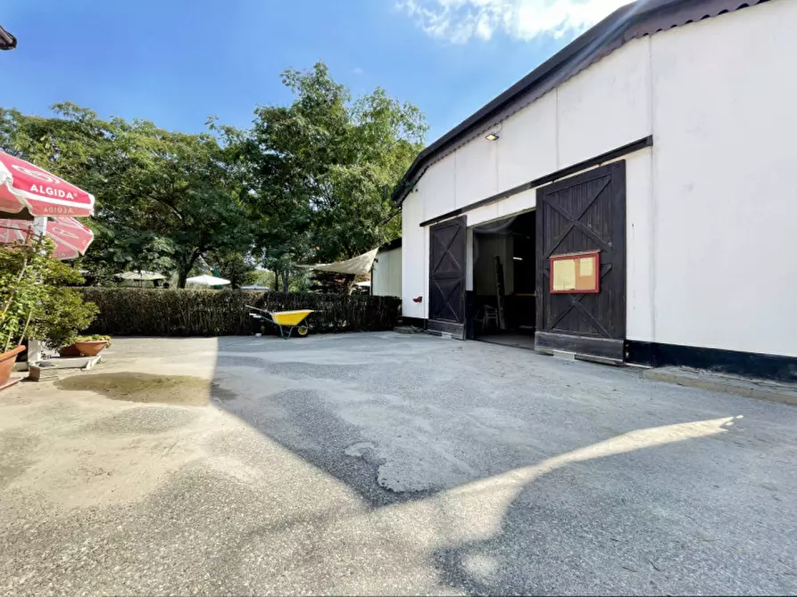 Immagine 35 di Casa quadrifamiliare in vendita  in regione monte oro 7 a Ameno