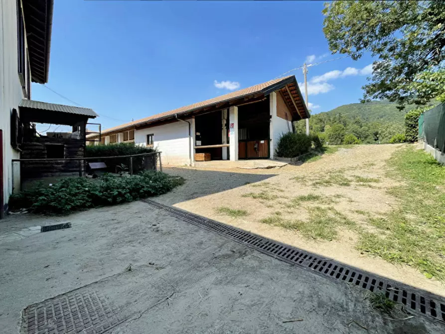 Immagine 38 di Casa quadrifamiliare in vendita  in regione monte oro 7 a Ameno