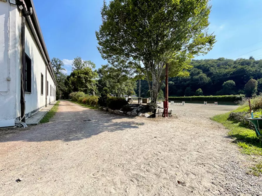 Immagine 43 di Casa quadrifamiliare in vendita  in regione monte oro 7 a Ameno