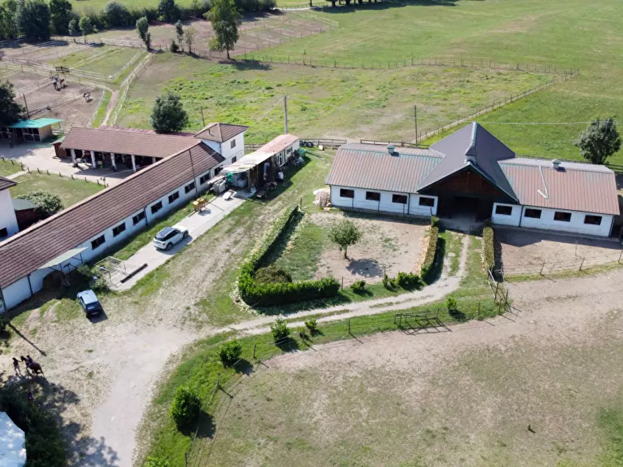 Immagine 49 di Casa quadrifamiliare in vendita  in regione monte oro 7 a Ameno