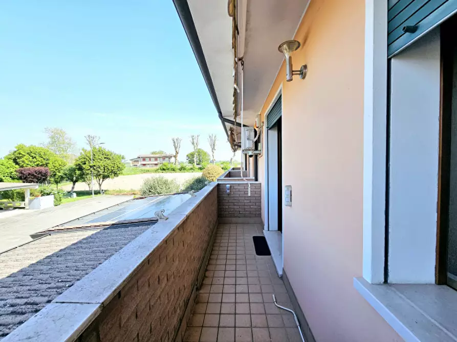 Immagine 11 di Villetta a schiera in vendita  in VIA POLESINE a Castagnaro