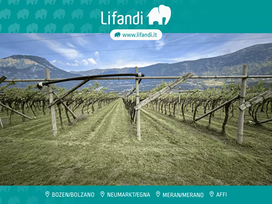 Immagine 1 di Terreno in vendita  a Salorno .Salurn.