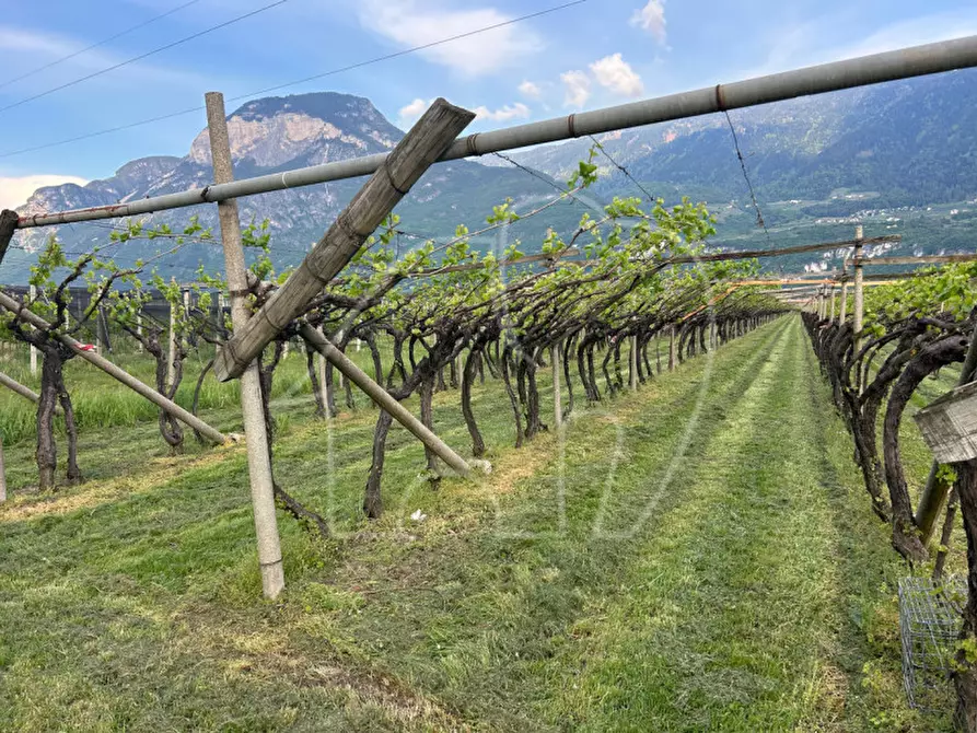 Immagine 2 di Terreno in vendita  a Salorno .Salurn.
