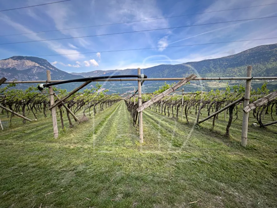 Immagine 4 di Terreno in vendita  a Salorno .Salurn.