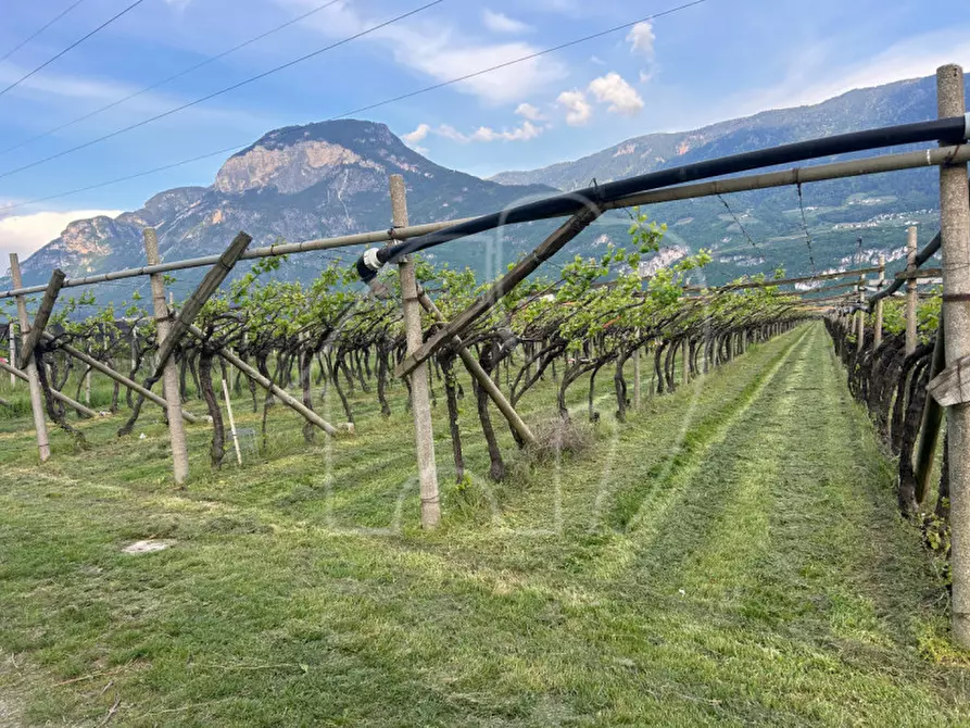 Immagine 5 di Terreno in vendita  a Salorno .Salurn.