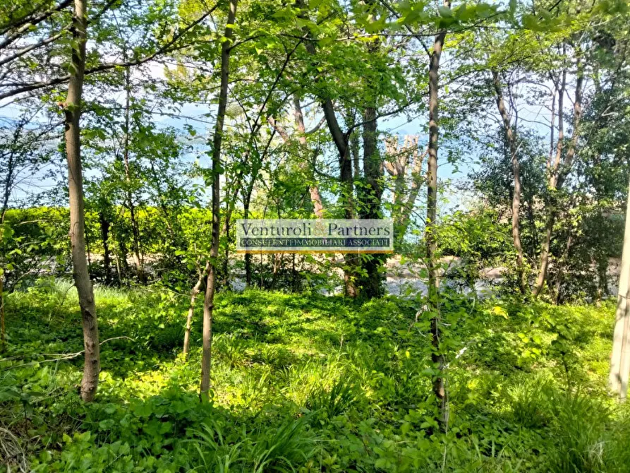 Immagine 6 di Terreno in vendita  in Via lungolago Cesare Battisti a Desenzano Del Garda