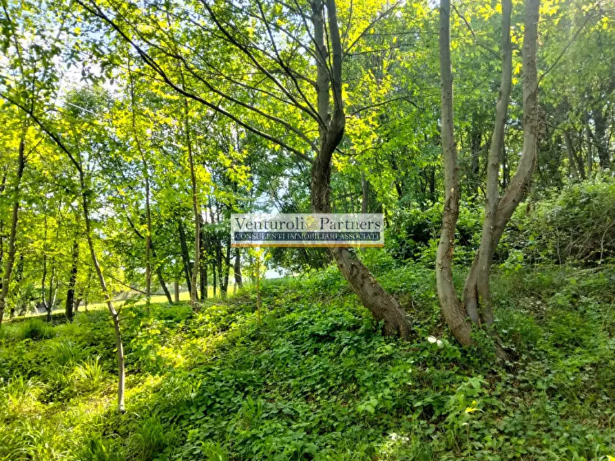 Immagine 12 di Terreno in vendita  in Via lungolago Cesare Battisti a Desenzano Del Garda