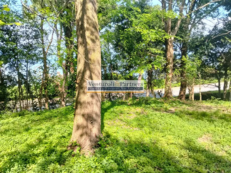 Immagine 17 di Terreno in vendita  in Via lungolago Cesare Battisti a Desenzano Del Garda