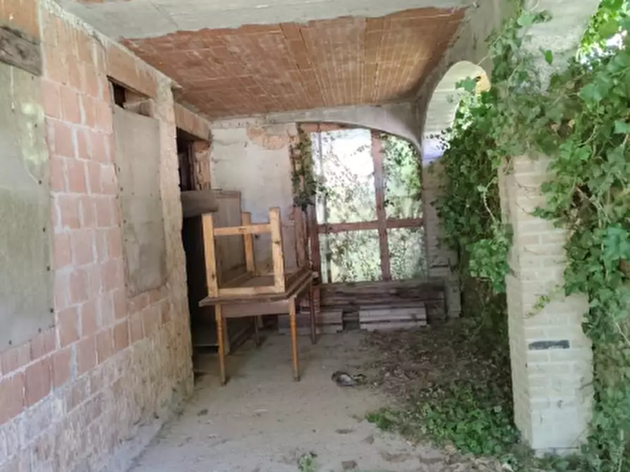 Immagine 4 di Magazzino in vendita  in Via Lova a Campolongo Maggiore