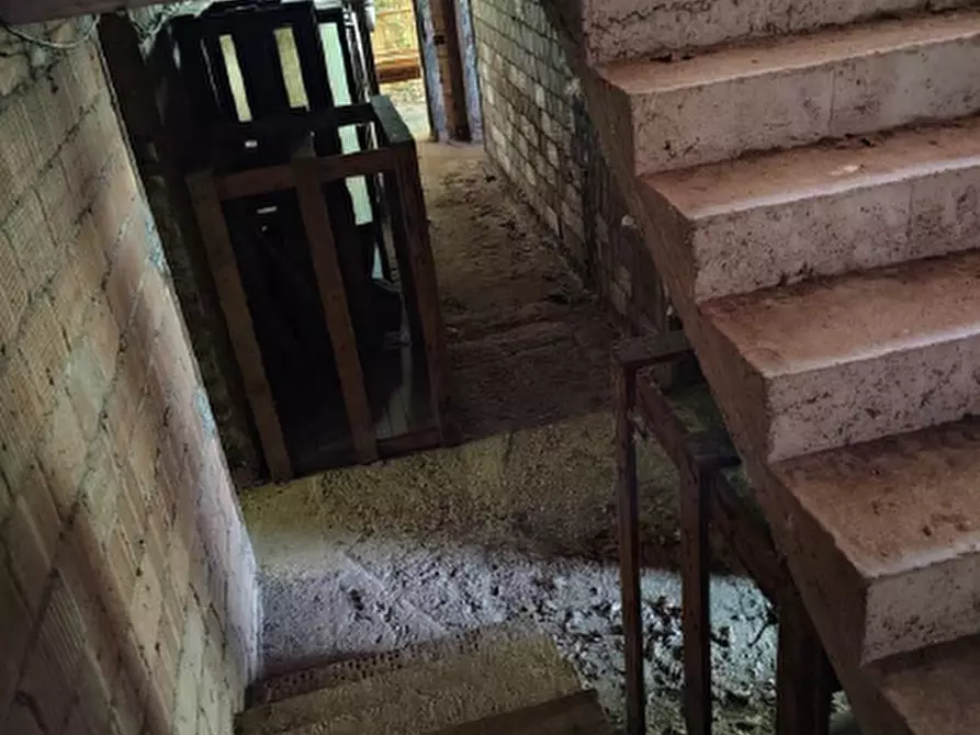 Immagine 5 di Magazzino in vendita  in Via Lova a Campolongo Maggiore