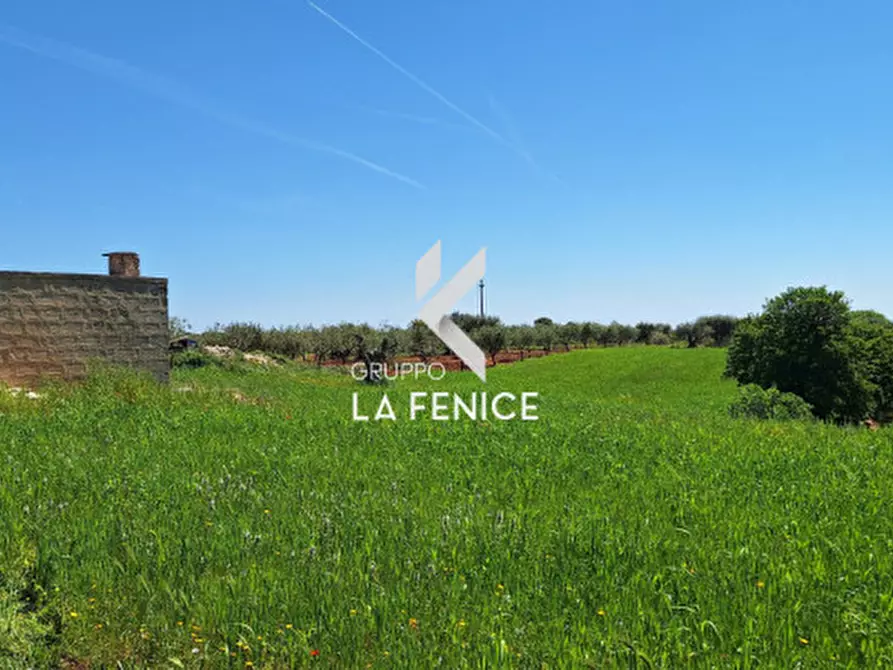 Immagine 6 di Rustico / casale in vendita  in Contrada Cattivolla a Locorotondo