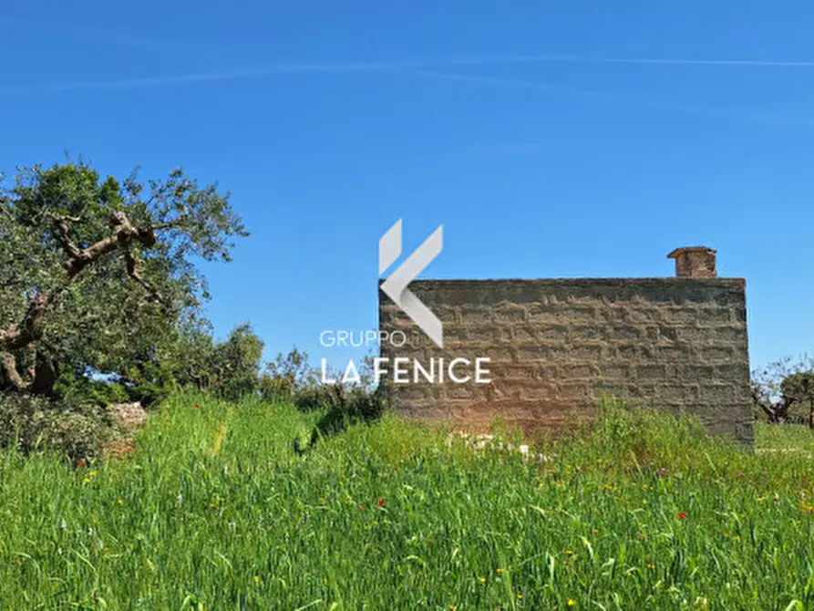 Immagine 7 di Rustico / casale in vendita  in Contrada Cattivolla a Locorotondo