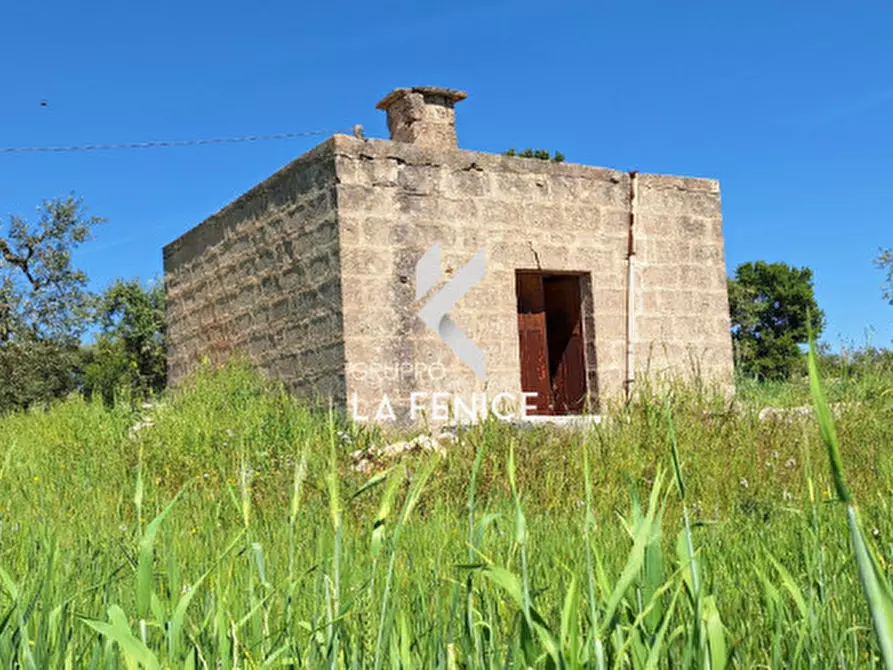 Immagine 9 di Rustico / casale in vendita  in Contrada Cattivolla a Locorotondo