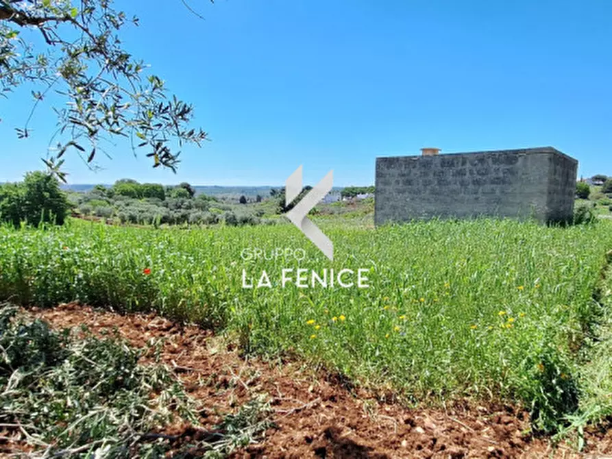 Immagine 25 di Rustico / casale in vendita  in Contrada Cattivolla a Locorotondo