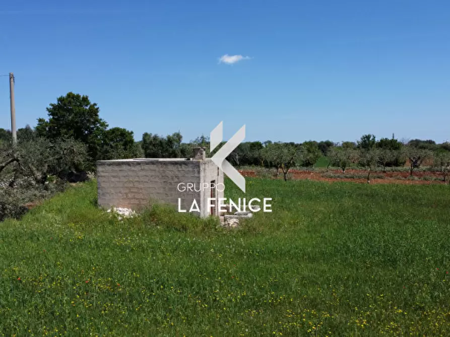 Immagine 29 di Rustico / casale in vendita  in Contrada Cattivolla a Locorotondo