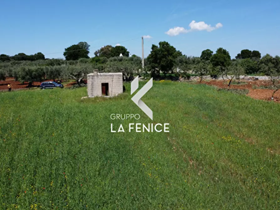 Immagine 31 di Rustico / casale in vendita  in Contrada Cattivolla a Locorotondo