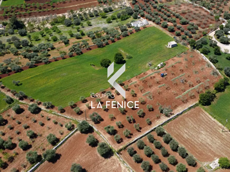 Immagine 33 di Rustico / casale in vendita  in Contrada Cattivolla a Locorotondo