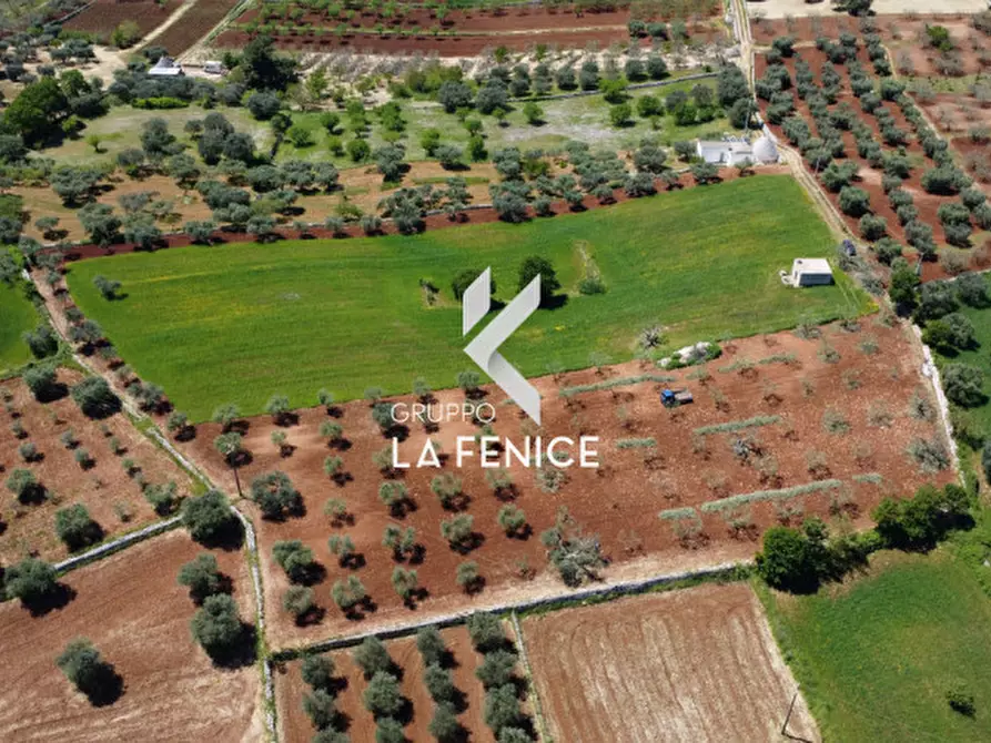 Immagine 34 di Rustico / casale in vendita  in Contrada Cattivolla a Locorotondo