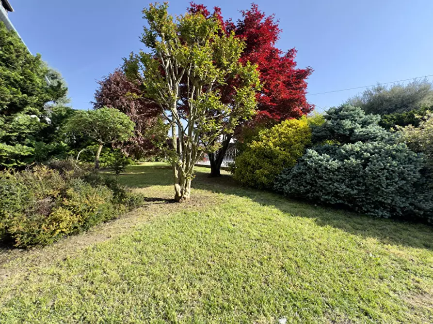 Immagine 41 di Villa in vendita  in Via Toscanini a Limena