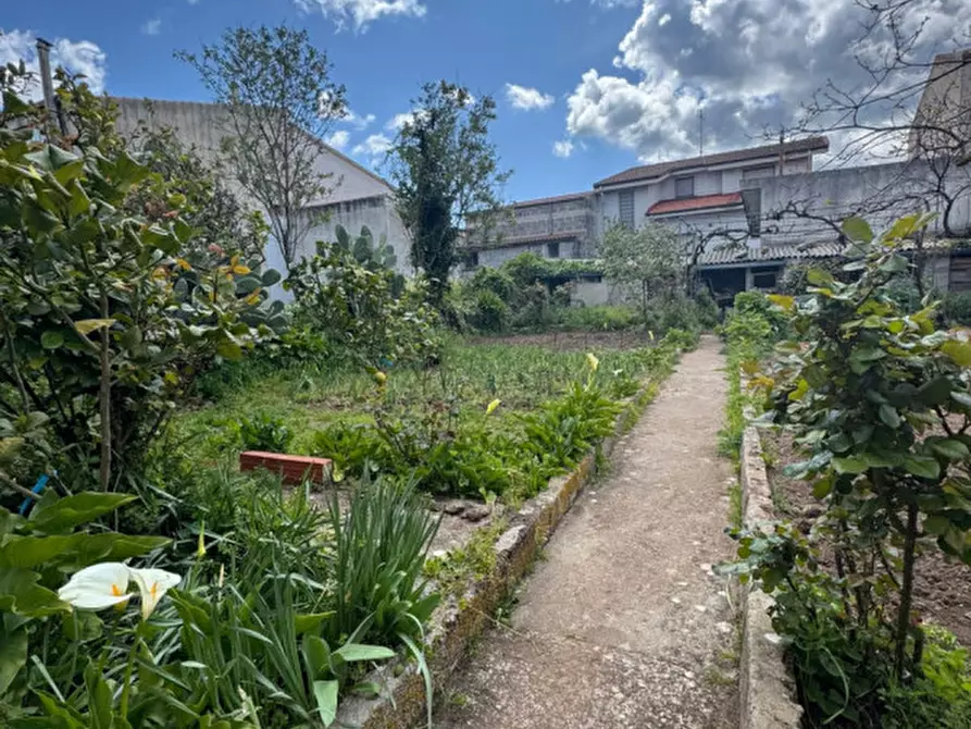 Immagine 24 di Casa indipendente in vendita  in Via Amsicora, 27 a Pozzomaggiore