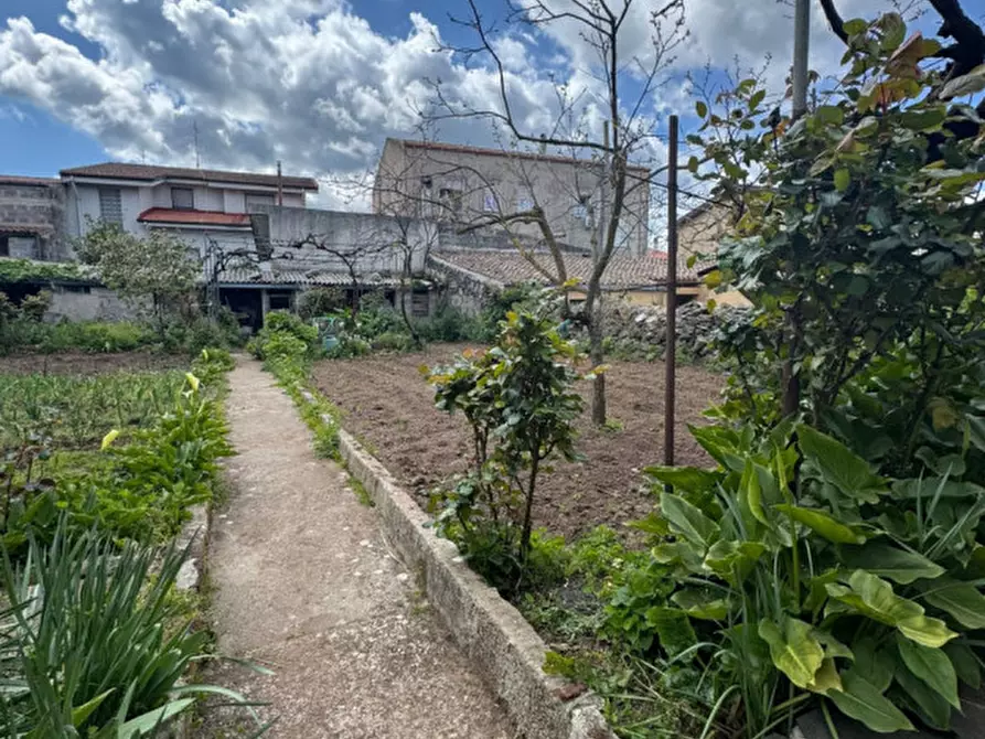 Immagine 25 di Casa indipendente in vendita  in Via Amsicora, 27 a Pozzomaggiore