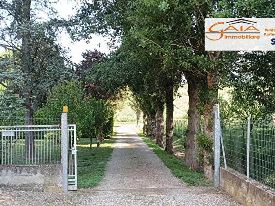 Immagine 2 di Casa indipendente in vendita  a Lendinara