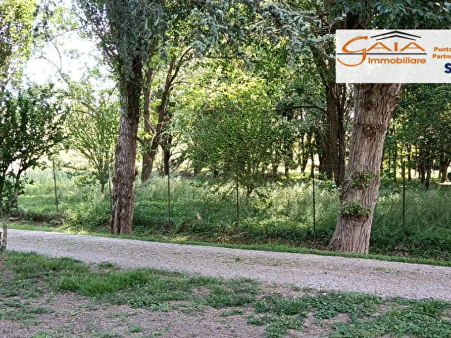 Immagine 30 di Casa indipendente in vendita  a Lendinara
