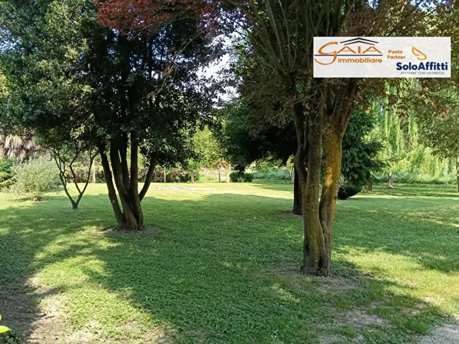 Immagine 32 di Casa indipendente in vendita  a Lendinara