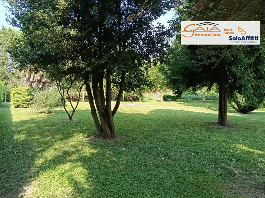 Immagine 33 di Casa indipendente in vendita  a Lendinara