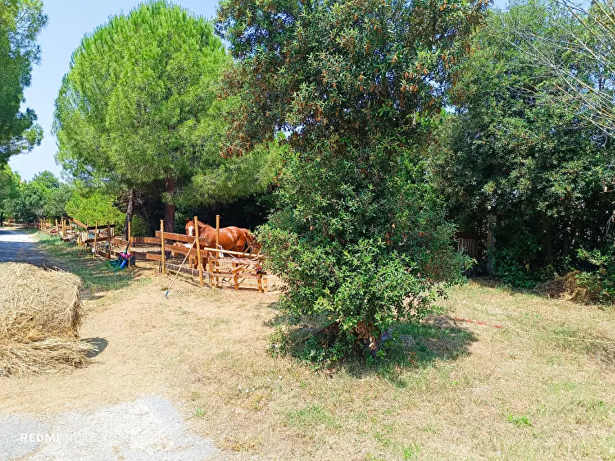 Immagine 11 di Casa indipendente in vendita  in Cda Cavallino 89/A a Civitanova Marche