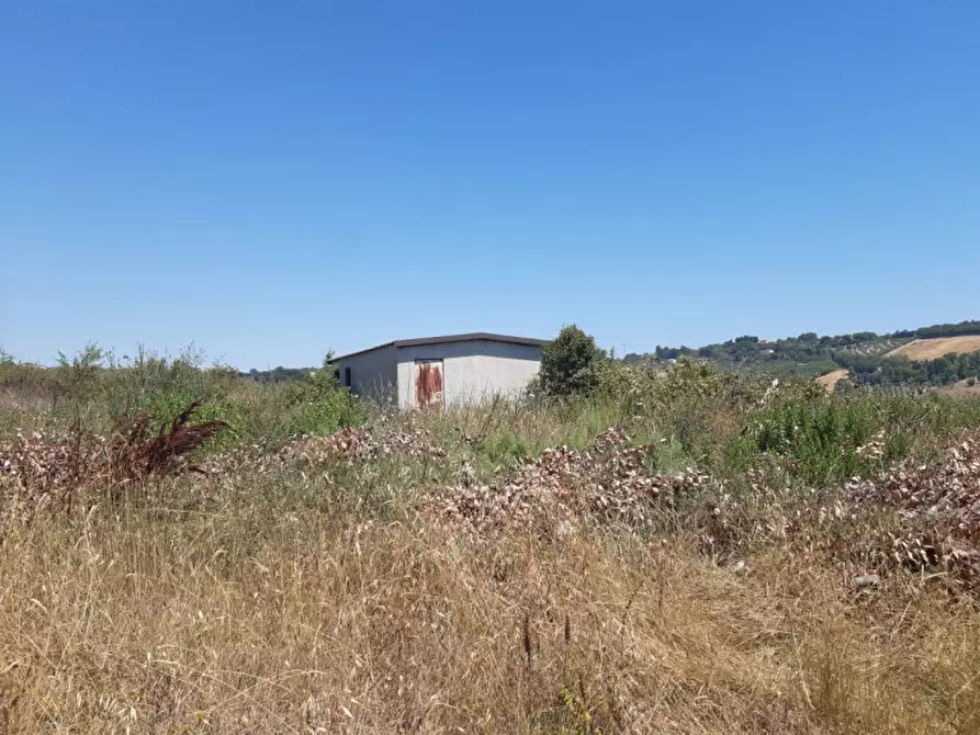 Immagine 19 di Casa indipendente in vendita  in Cda Cavallino 89/A a Civitanova Marche