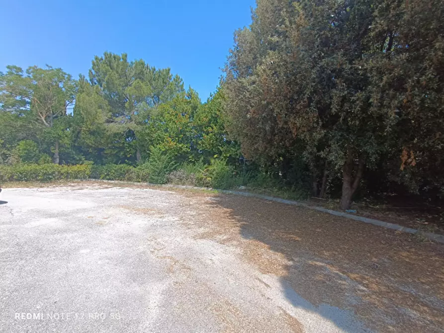 Immagine 21 di Casa indipendente in vendita  in Cda Cavallino 89/A a Civitanova Marche