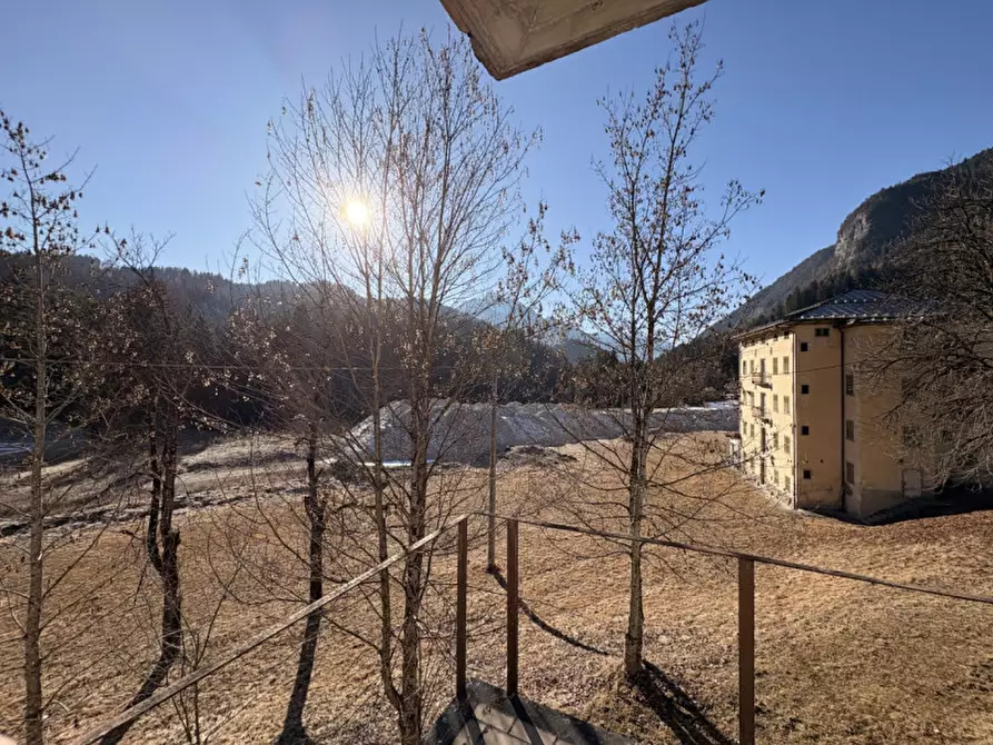 Immagine 13 di Attività commerciale in vendita  in Via Cima Gogna a Auronzo Di Cadore