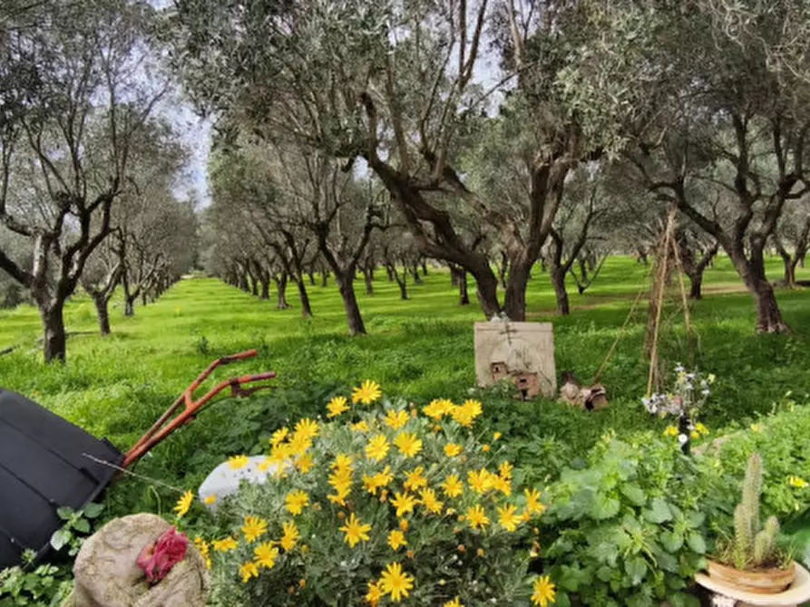 Immagine 21 di Villa in vendita  in Contrada Fascianello a Fasano
