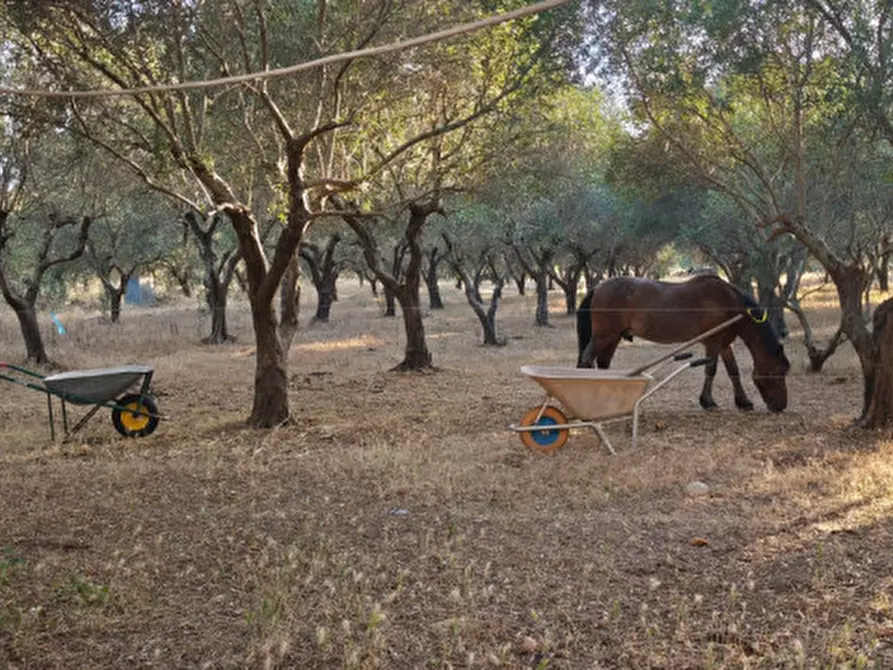 Immagine 55 di Villa in vendita  in Contrada Fascianello a Fasano