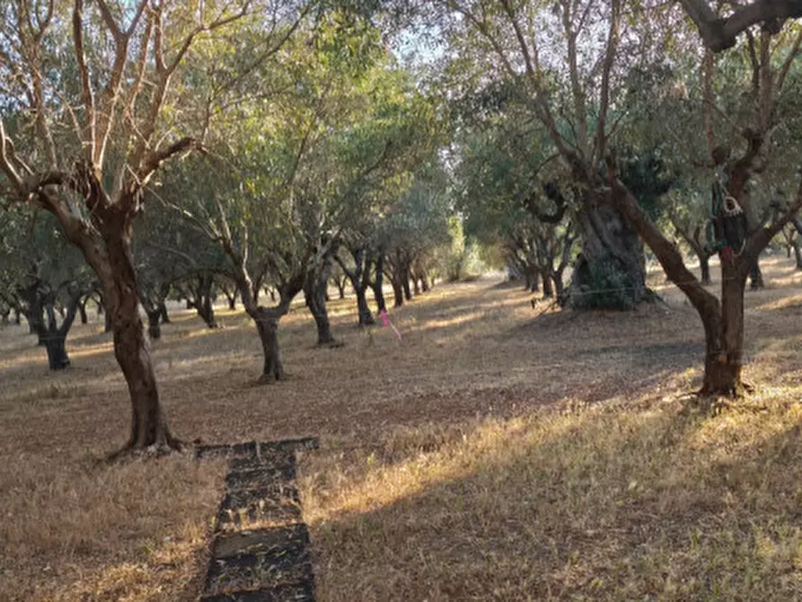 Immagine 56 di Villa in vendita  in Contrada Fascianello a Fasano