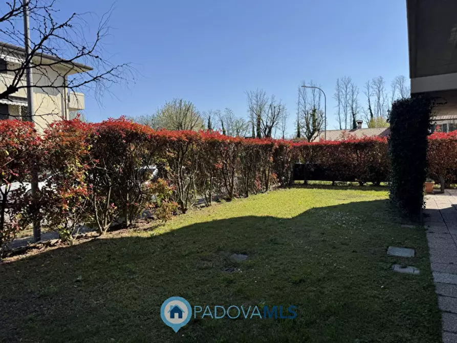 Immagine 19 di Appartamento in vendita  in Via Italo Svevo, 1 a Vigodarzere