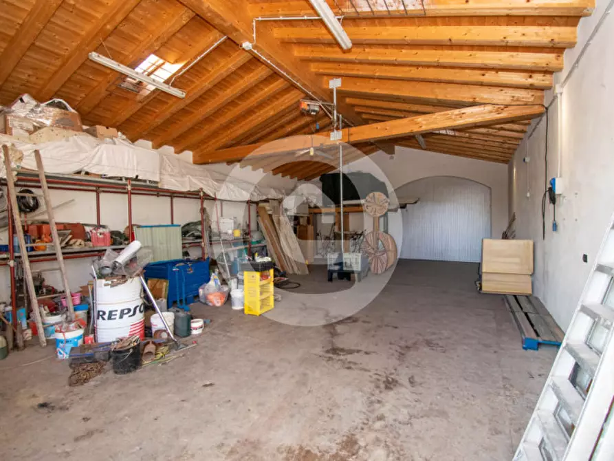 Immagine 7 di Magazzino in vendita  a San Giorgio Delle Pertiche