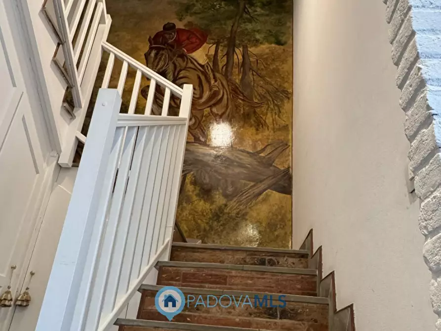 Immagine 15 di Villa in affitto  in Via Friuli a Padova