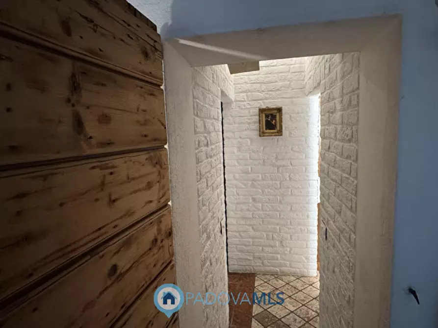 Immagine 32 di Villa in affitto  in Via Friuli a Padova