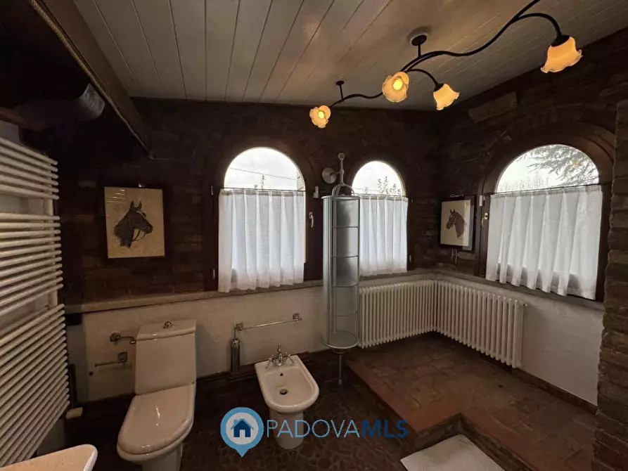 Immagine 37 di Villa in affitto  in Via Friuli a Padova