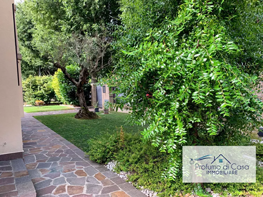 Immagine 45 di Villa in vendita  in Via Santo Stefano a Vigonza
