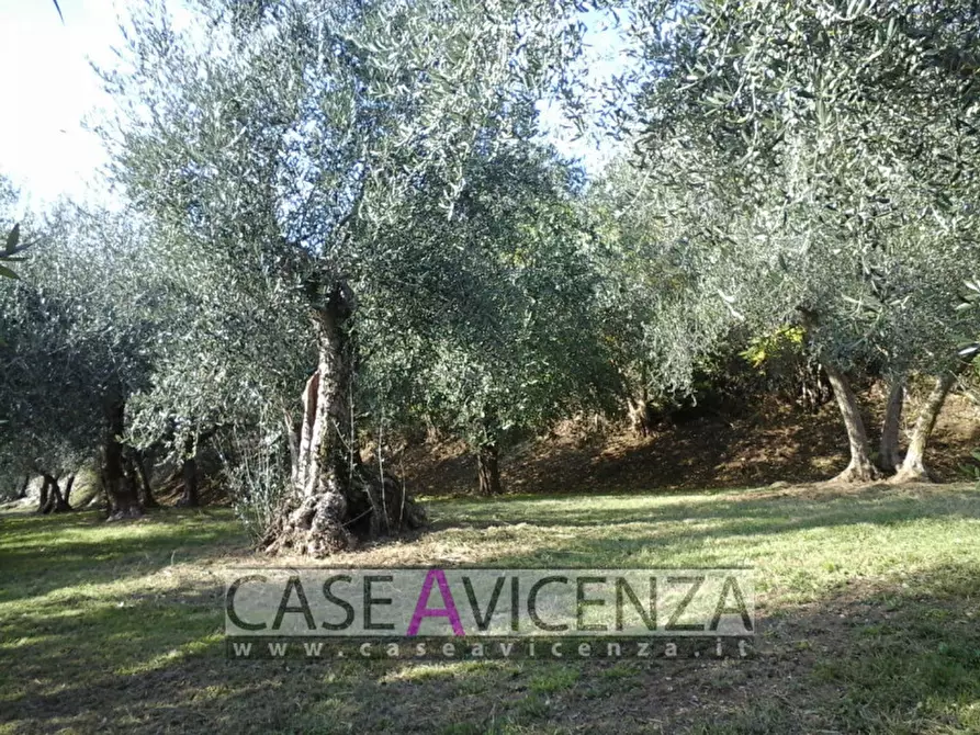Immagine 13 di Villa in vendita  in Via Chiesa a Nanto