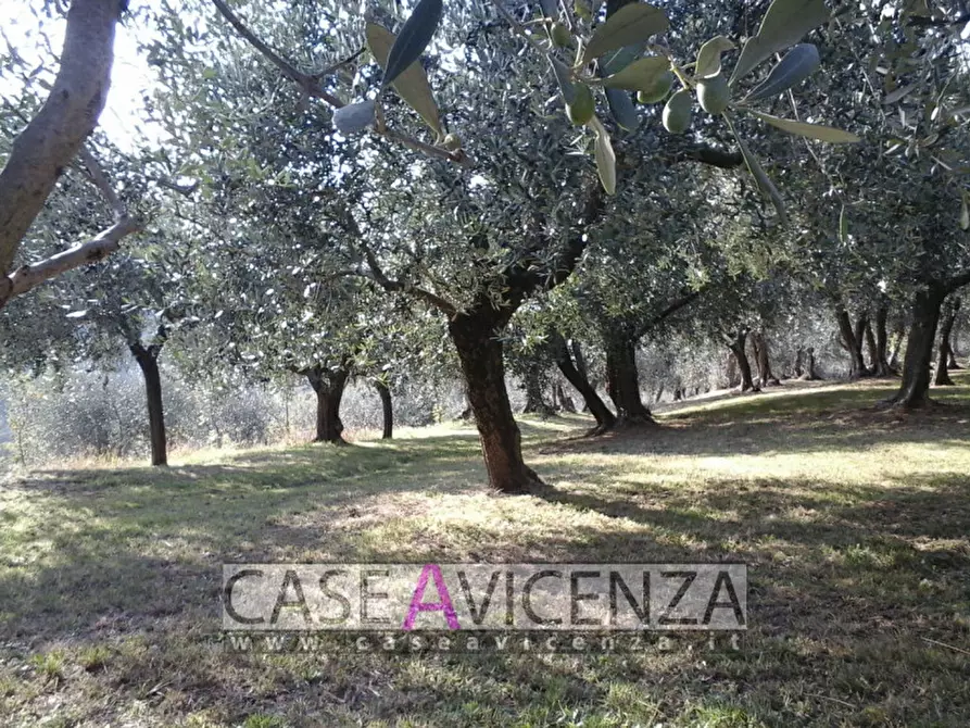 Immagine 14 di Villa in vendita  in Via Chiesa a Nanto